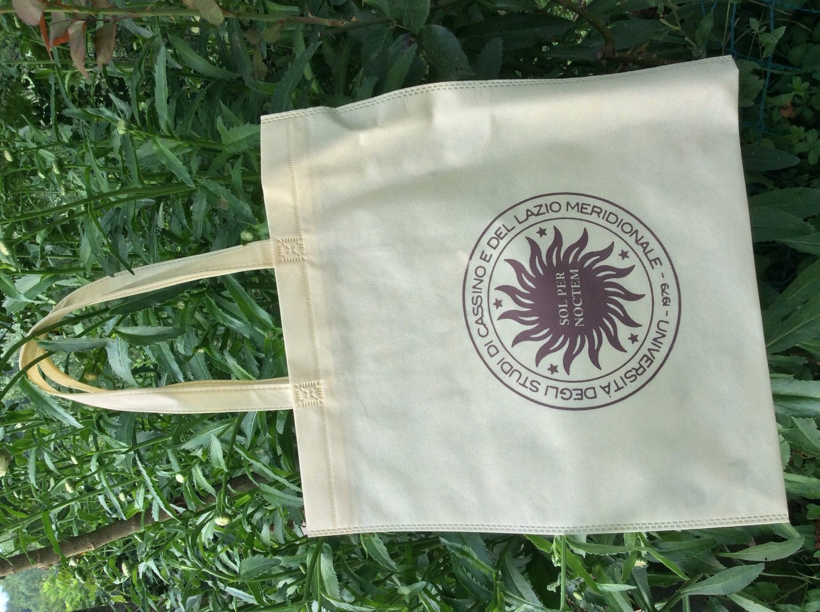10 Borse Shopper In TNT 23x30x10 Cm Con Manici Lunghi 40cm - Buste Per La Spesa Riutilizzabili E Termosaldate - Vari Colori